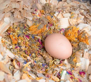 Best Eggs Ever! (TM) Nesting Herbs For Pet Chickens: 20 ounces