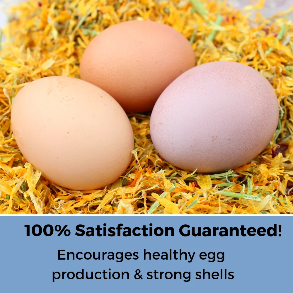 Best Eggs Ever! (TM) Nesting Herbs For Pet Chickens: 20 ounces