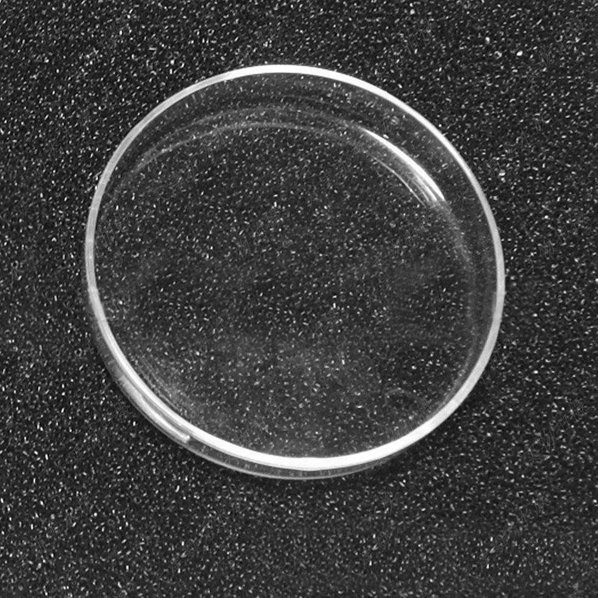 Clear Glass Feeding Container