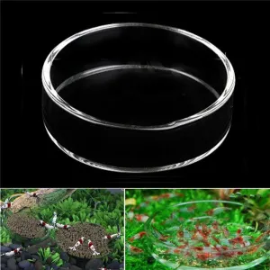 Clear Glass Feeding Container