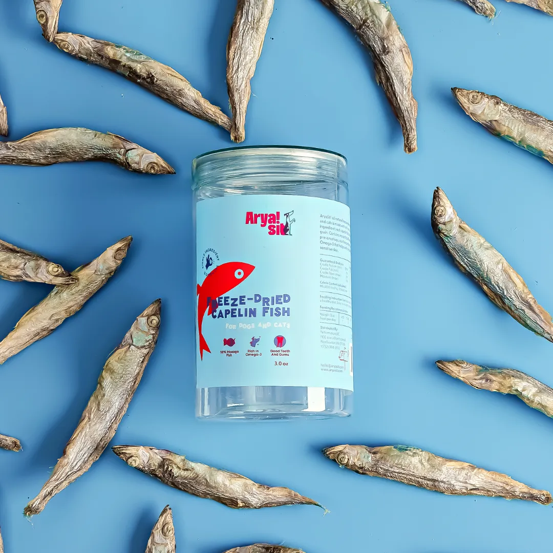 Freeze Dried Pet Snacks