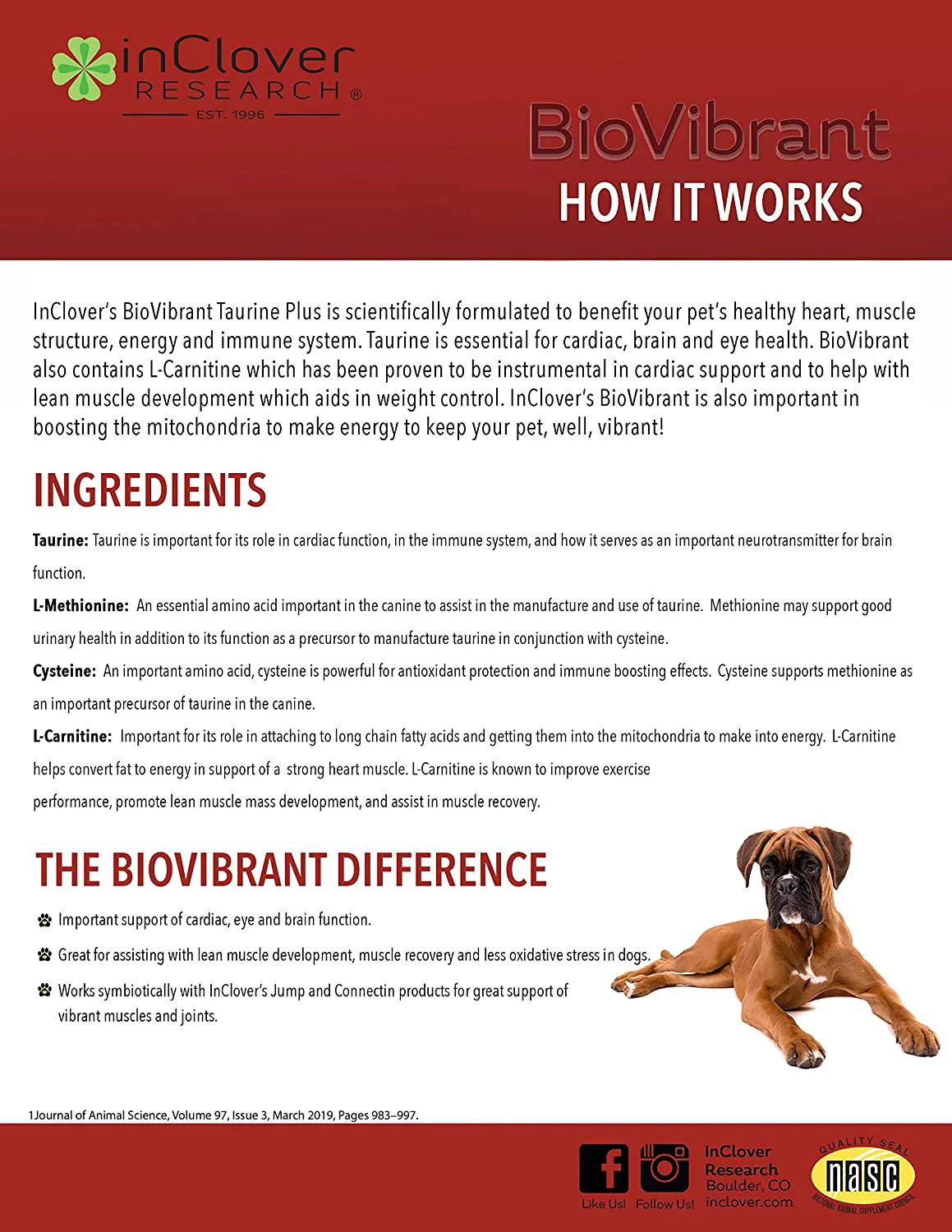 InClover, Dog Heart Health Supplement BioVibrant, Helps Support Dog Heart Health, Dog Supplement Treat Powder with Taurine Helps Pet Heart Health and Dog Weight Management, Dog Immune Support