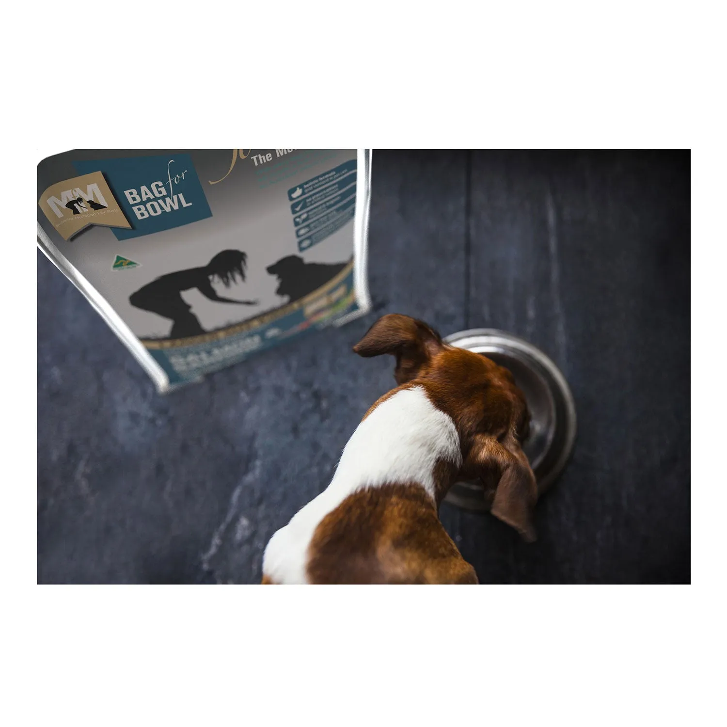 Meals for Mutts Large Kibble Salmon & Sardine Adult Dry Dog Food