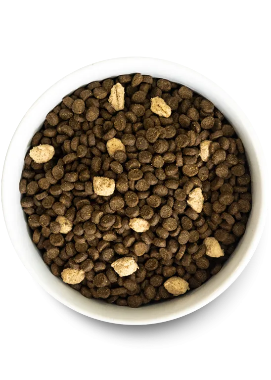 Open Farm RAWMIX Wild Ocean Grain Free Recipe for CATS