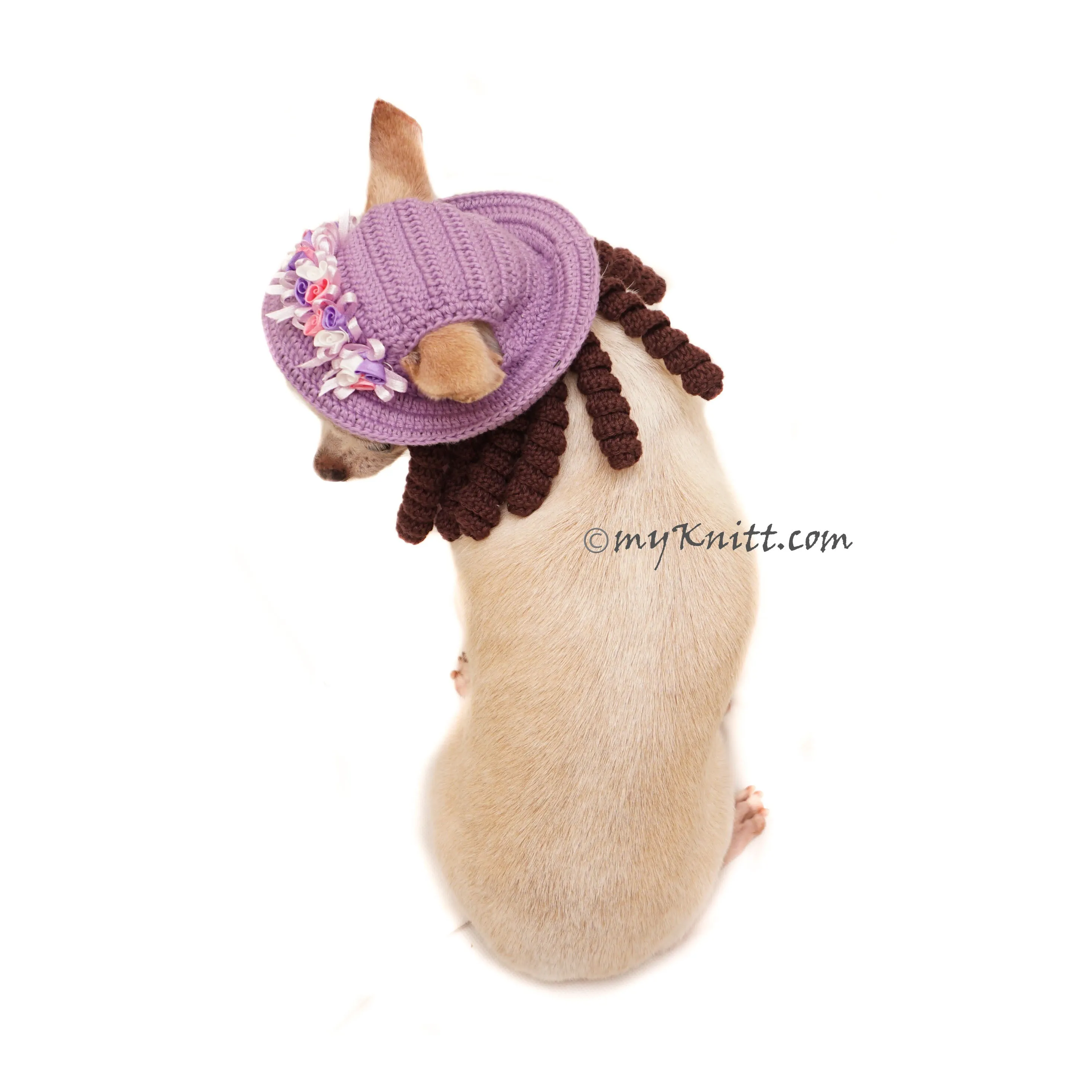Purple Dog Sun Hat Crochet with Dreadlocks, Chihuahua Hat Crochet DB13