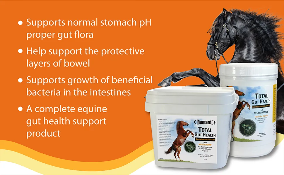 Ramard, Total Gut Health Equine Digestive Support - Equine Gut Health Supplement Probiotics for Horses, Healthy Gut Vitamins, Gastric Relief, Optimum Digestive Health for Horses 1oz, 1-Pack