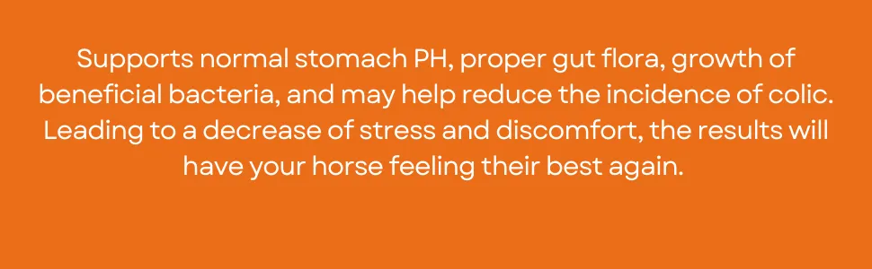Ramard, Total Gut Health Equine Digestive Support - Equine Gut Health Supplement Probiotics for Horses, Healthy Gut Vitamins, Gastric Relief, Optimum Digestive Health for Horses 1oz, 1-Pack