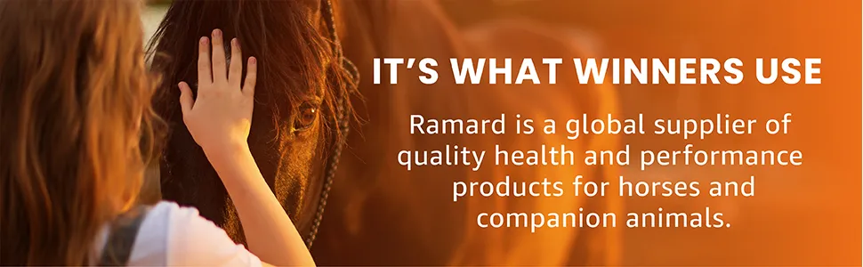 Ramard, Total Gut Health Equine Digestive Support - Equine Gut Health Supplement Probiotics for Horses, Healthy Gut Vitamins, Gastric Relief, Optimum Digestive Health for Horses 1oz, 1-Pack