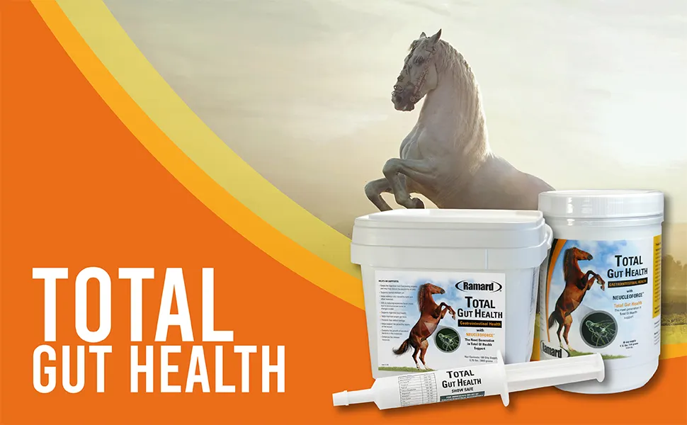 Ramard, Total Gut Health Equine Digestive Support - Equine Gut Health Supplement Probiotics for Horses, Healthy Gut Vitamins, Gastric Relief, Optimum Digestive Health for Horses 1oz, 1-Pack