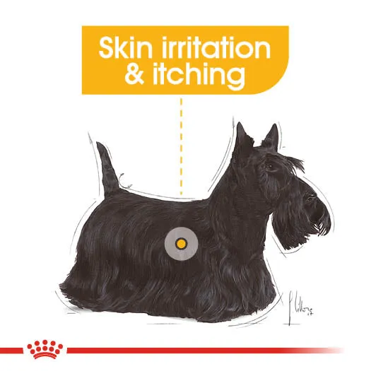 Royal Canin Dog Pouch - Dermacomfort