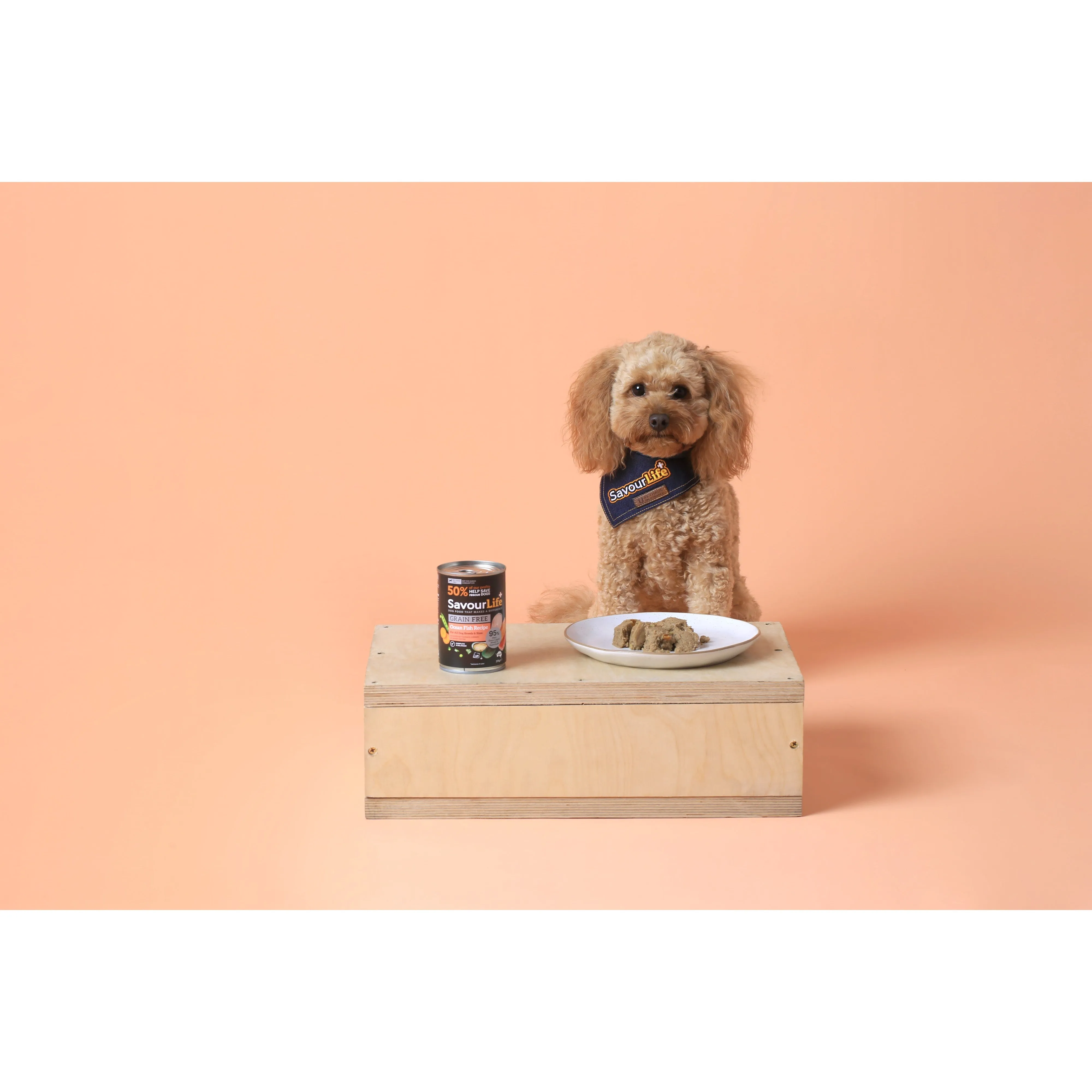 Savourlife Grain Free Ocean Fish Adult Dog Wet Food 375g