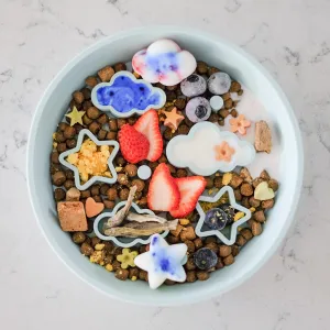 Star   Cloud Slow Feeder Bowl (Blue)