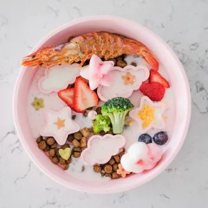 Star   Cloud Slow Feeder Bowl (Pink)