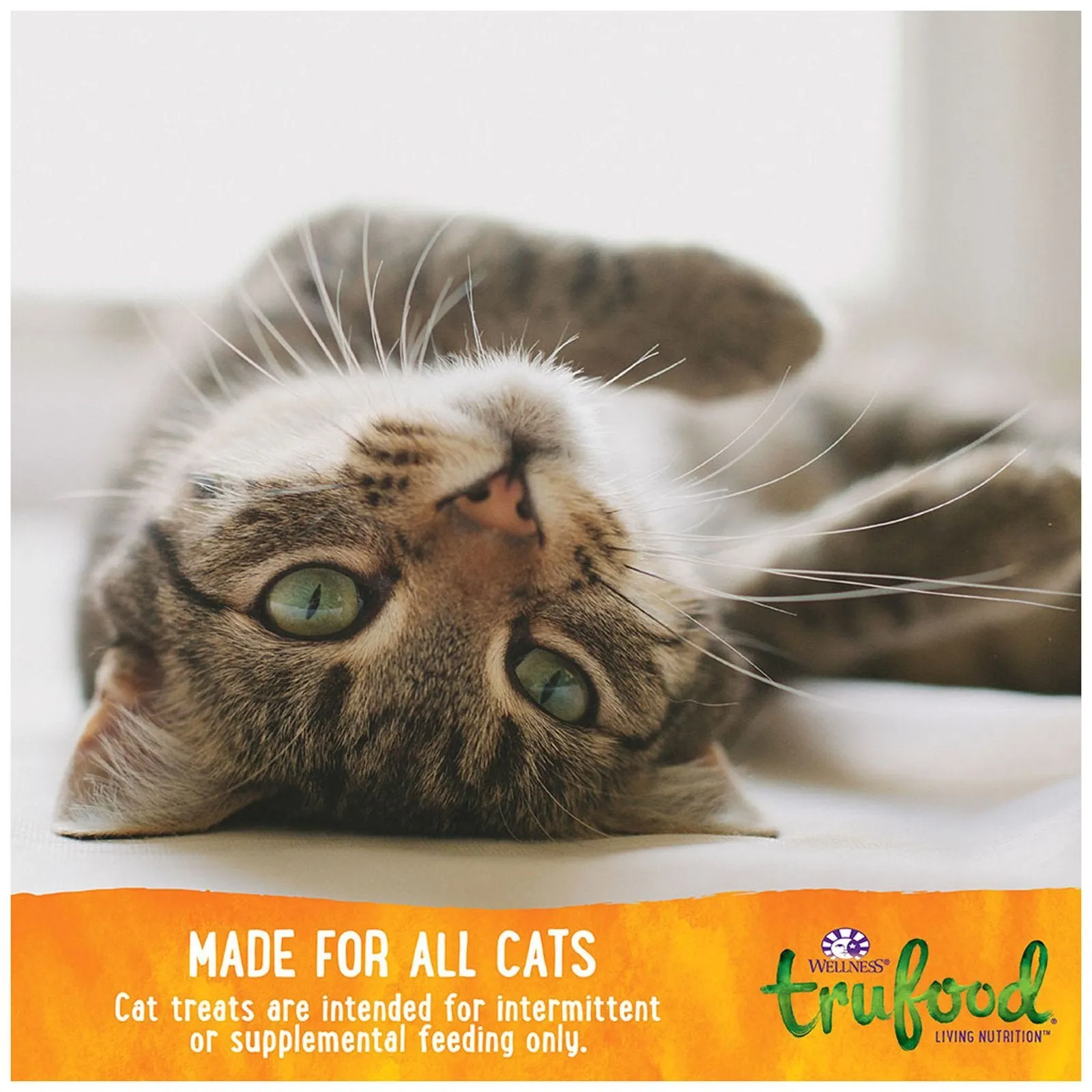 Wellness TruFood CocoChia Bakes with Chicken, Beets & Coconut Oil Grain-Free Cat Treats 3oz