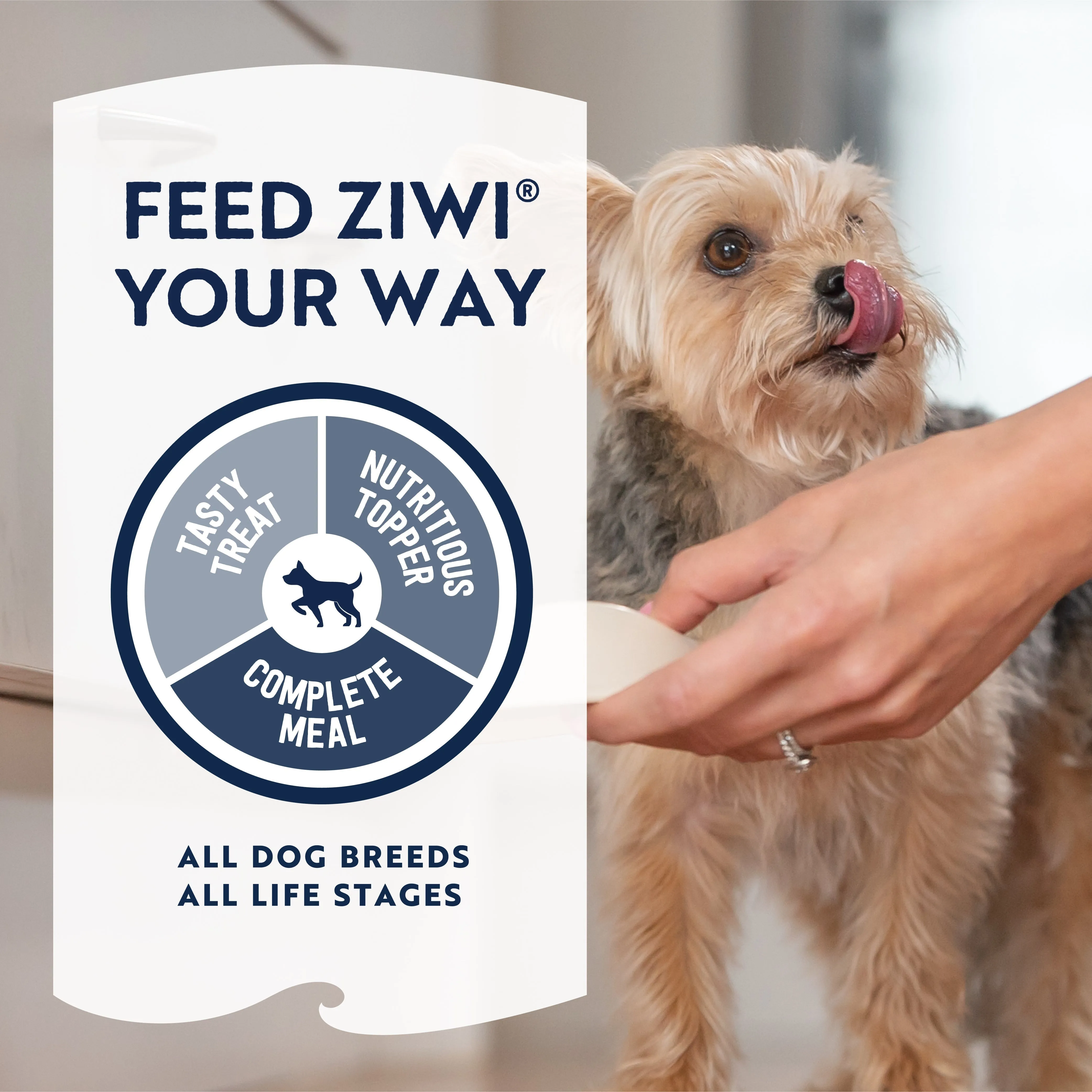 ZIWI Peak Air Dried Lamb Recipe Dog Food 4kg